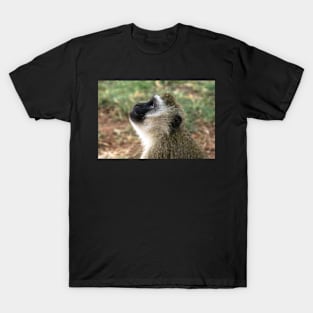 Monkey Smiling T-Shirt